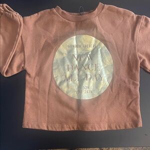 Zara Rust-Coral Sweatshirt with Gold Graphic